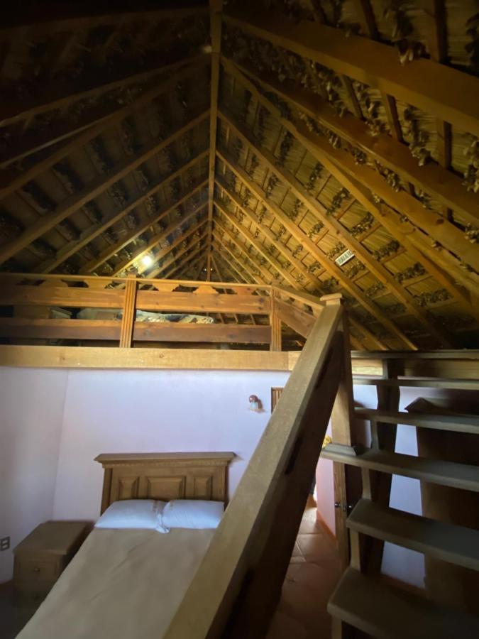 Ecoturismo Cabanas La Florida Cardonal Екстериор снимка